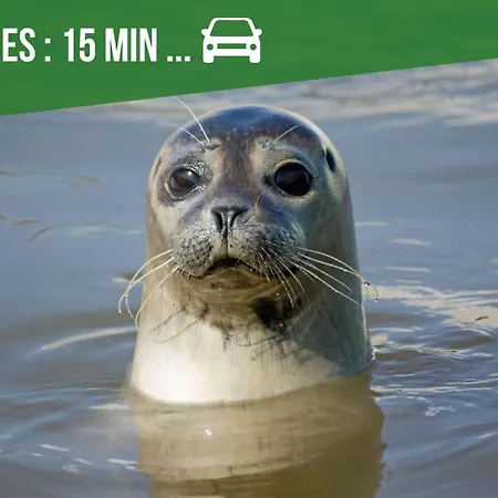 Le Chauffour * Rue (Somme)